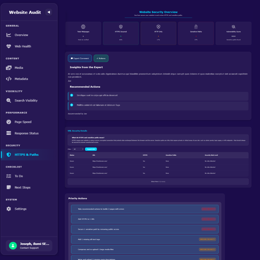 ilumi SEO optimal audit dashboard: Sample interface of the Optimal SEO & Technical Audit