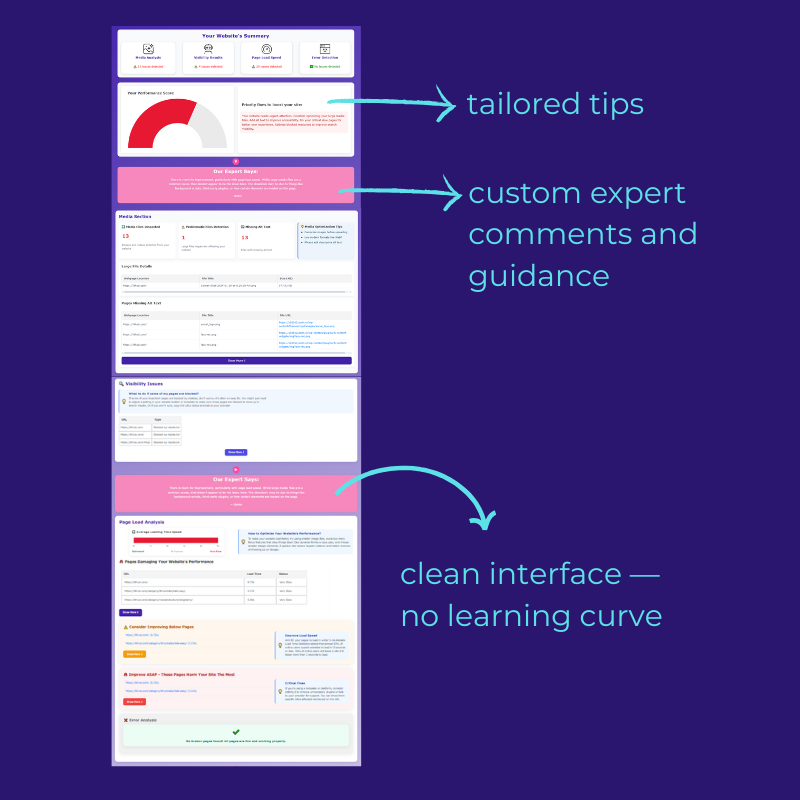 Ilumi dashboard showing technical SEO analysis