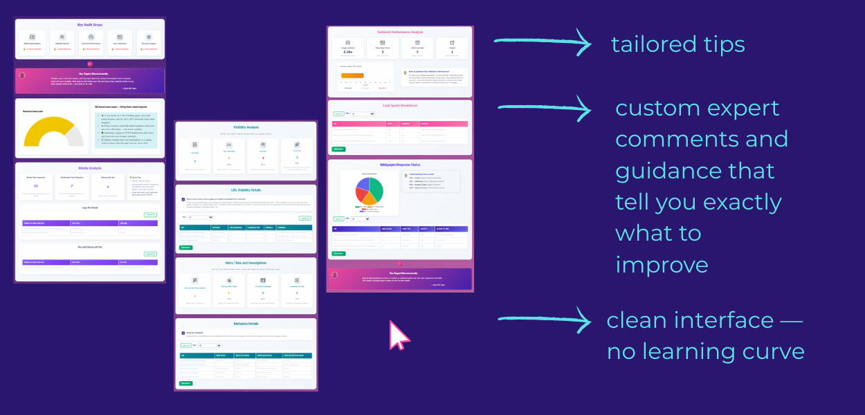 Slide 4: You receive tailored tips, custom SEO expert comments and guidance and report with clean interface